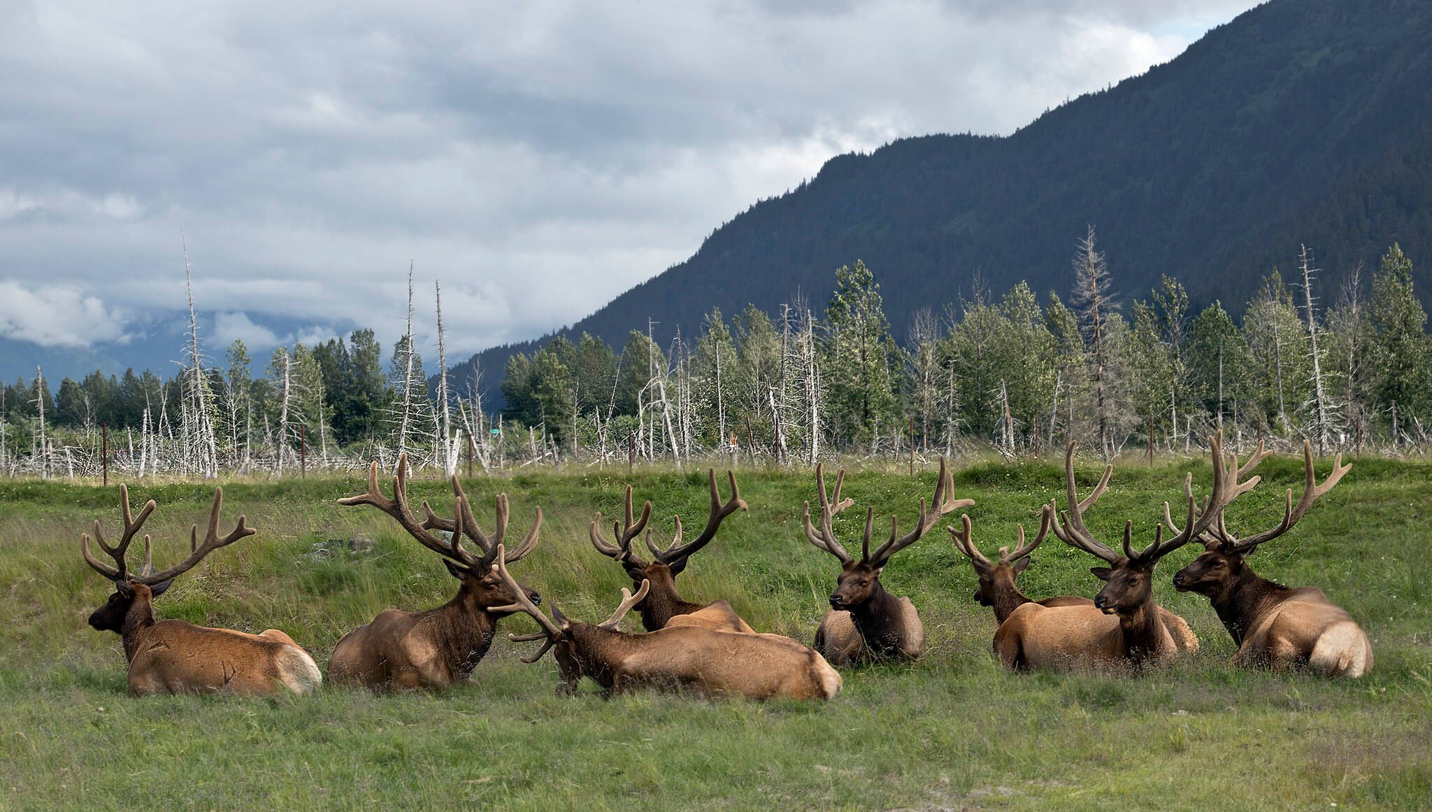 The Best Attractions to See and Visit in Anchorage, Alaska