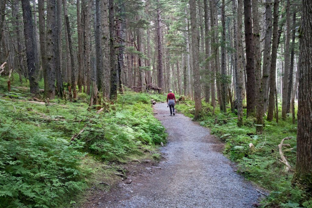 Chugach National forest