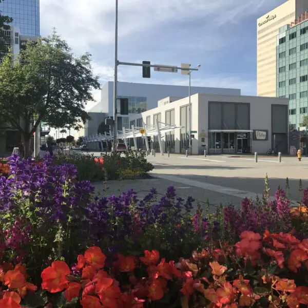 A vibrant urban street corner with colorful flowers in the foreground and modern buildings in the background, perfect for a guided Anchorage food tour.