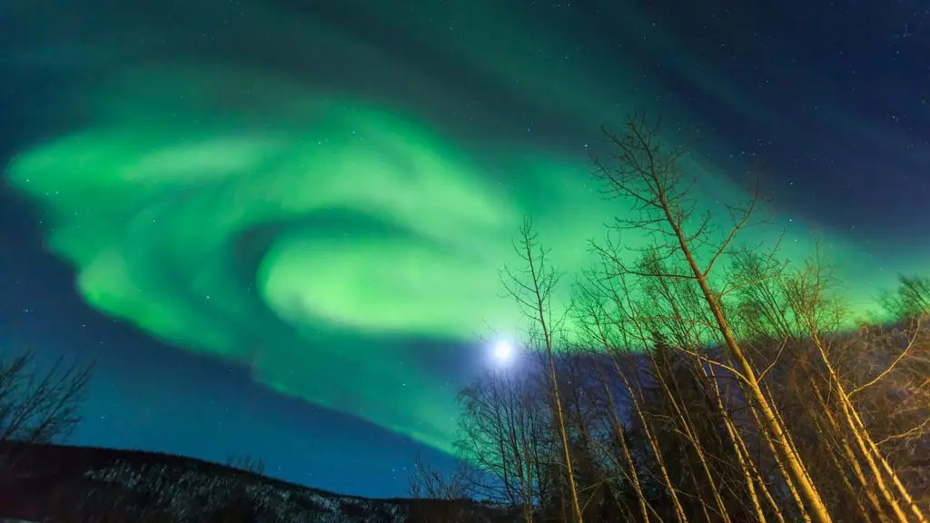Witness the Northern Lights cast swirling green patterns in a starry Alaskan sky above leafless trees, making it one of the best places for this celestial spectacle.