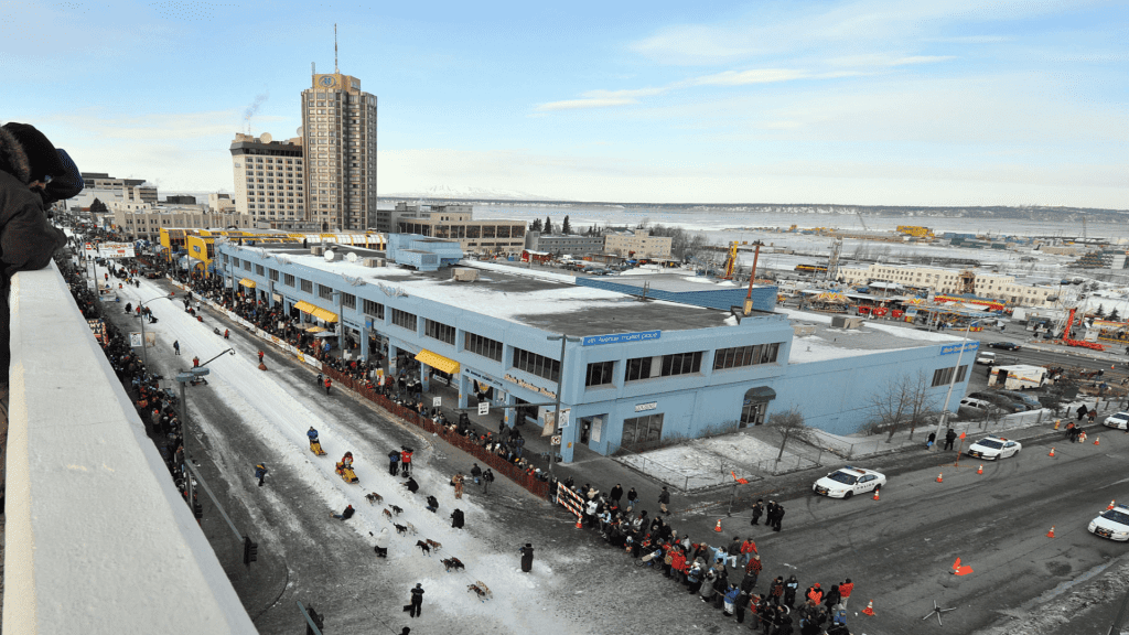 People watch a dog sled race on a snow-covered street in a city, with tall buildings and a clear, blue sky in the background.