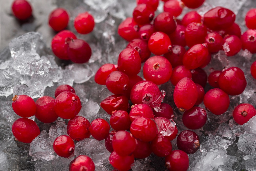 Bright red lingonberries scattered on a surface with crushed ice.